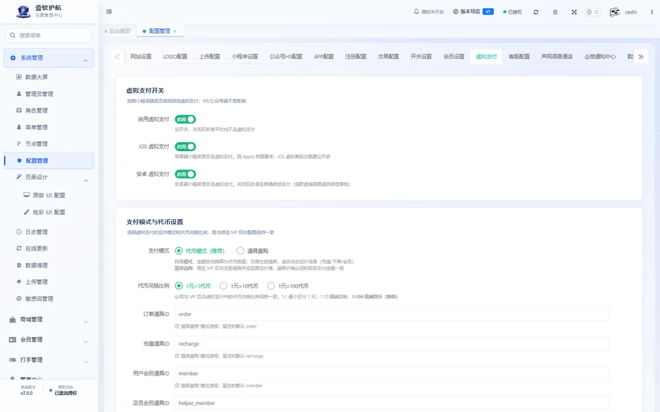 虚拟支付，设置页，采集于 2026-10-10