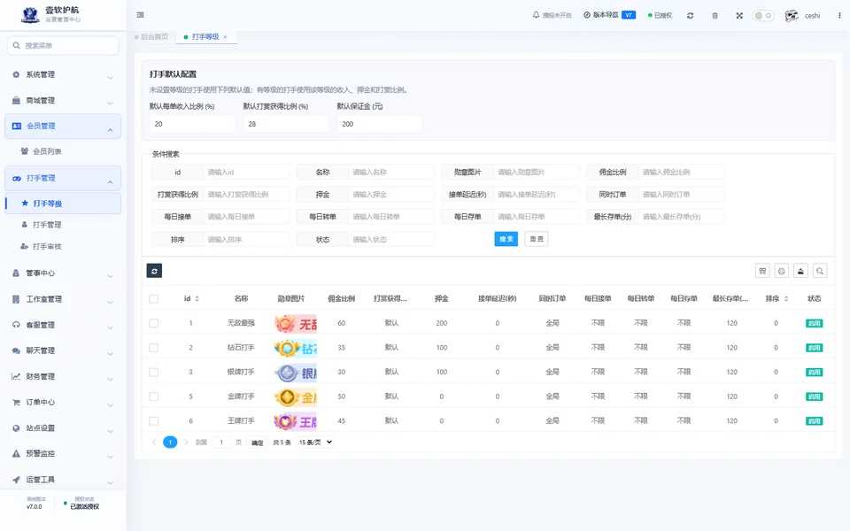 打手等级，可查看，采集于 2026-10-10